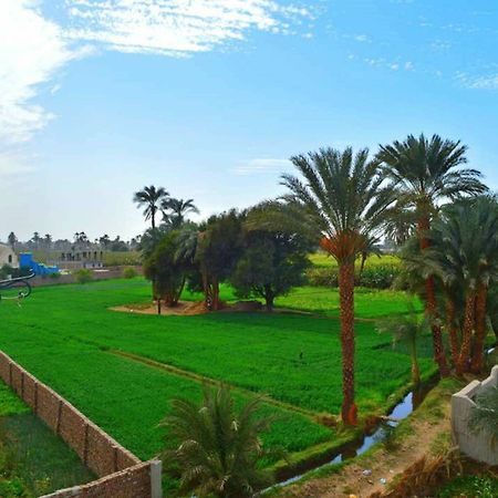 Farida Apartments Luxor Exteriér fotografie