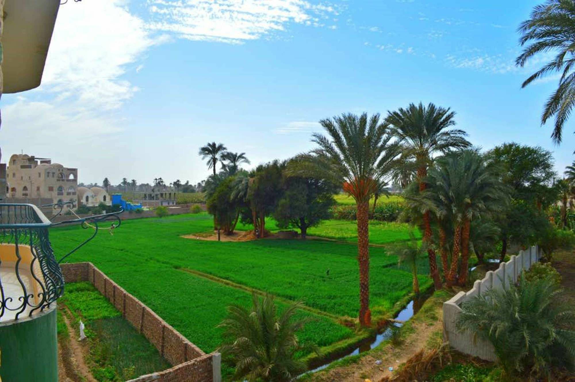 Farida Apartments Luxor Exteriér fotografie