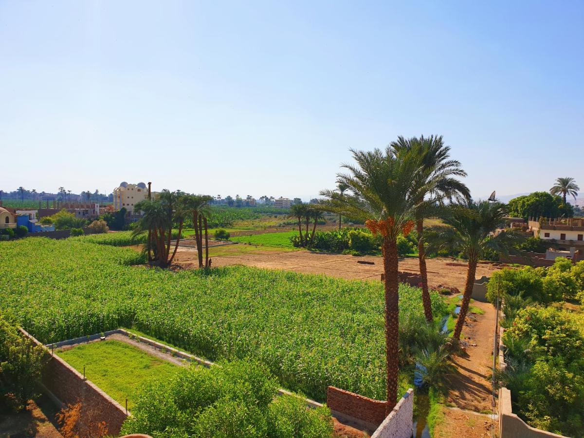 Farida Apartments Luxor Exteriér fotografie