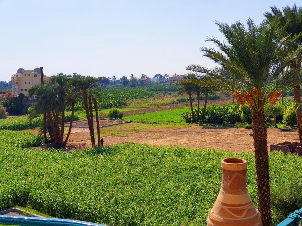 Farida Apartments Luxor Exteriér fotografie