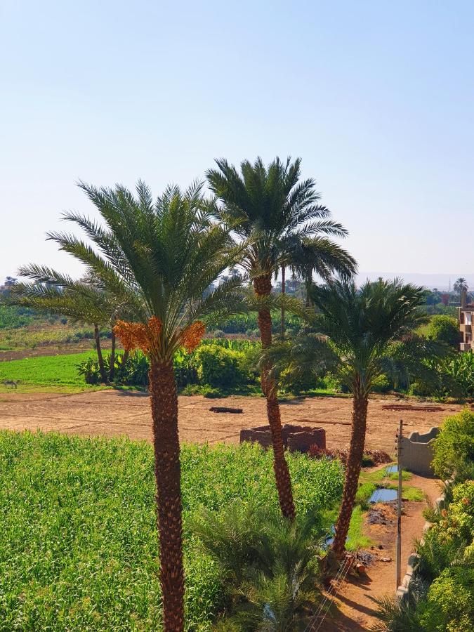 Farida Apartments Luxor Exteriér fotografie